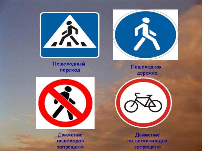 Дорожные Знаки Для Пешеходов Картинки И Названия