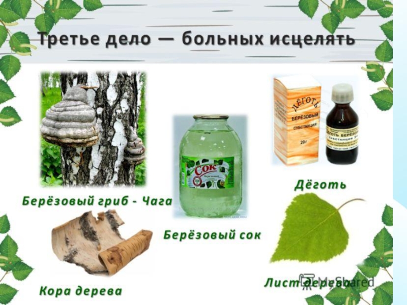 Аптеки В Городе Березе