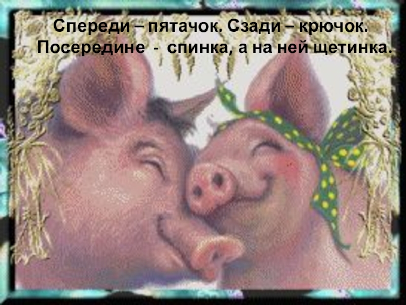 Jitka twin hole nymphomanic piglet images