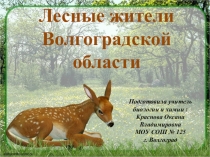 Презентация по биологическому краеведению Лесные жители Волгоградской области