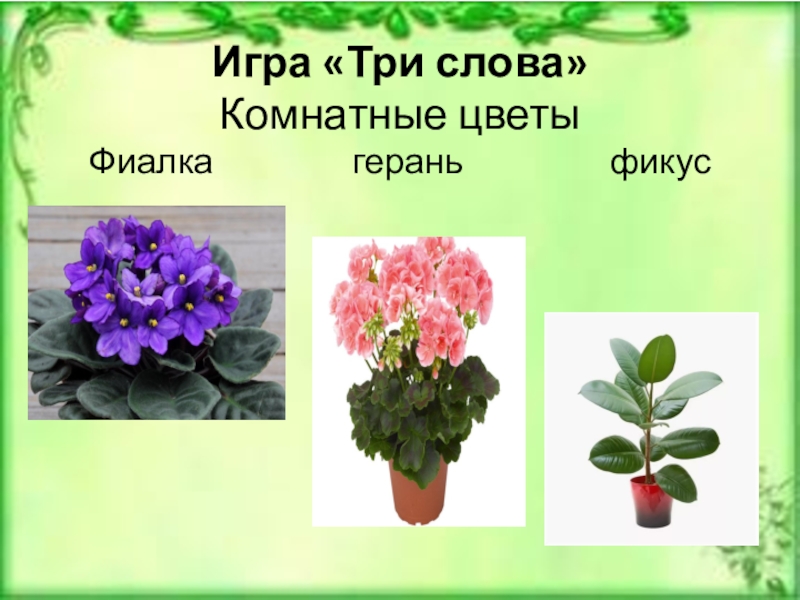 Найти Растение По Фото С Телефона