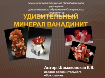 Презентация по геологии на тему Удивительный минерал Ванадинит (5-9 класс)