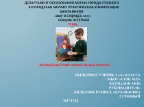 Волшебный мир красок