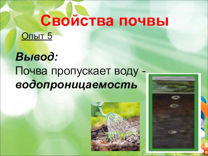 3 свойства почв. Свойства почвы для дошкольников. Почва пропускает воду. Свойства почвы водопроницаемость. Опыт свойства почвы.