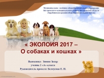 Презентация по окружающему миру на тему Экология 2017 - о собаках и кошках