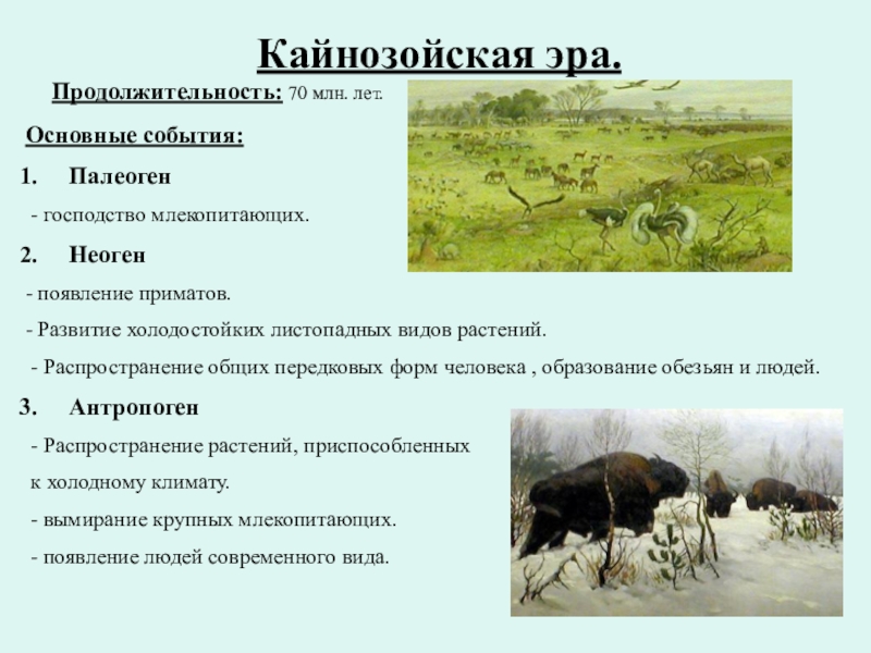 Кайнозойская Эра основные события. Продолжительность кайнозойской эры. Млекопитающие кайнозойской эры.