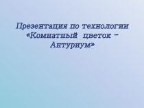 Презентация по технологии Комнатный цветок