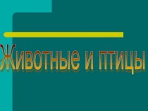Животные и птицы