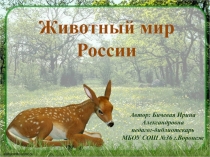 Интерактивная игра Животный мир России (3-5 класс)