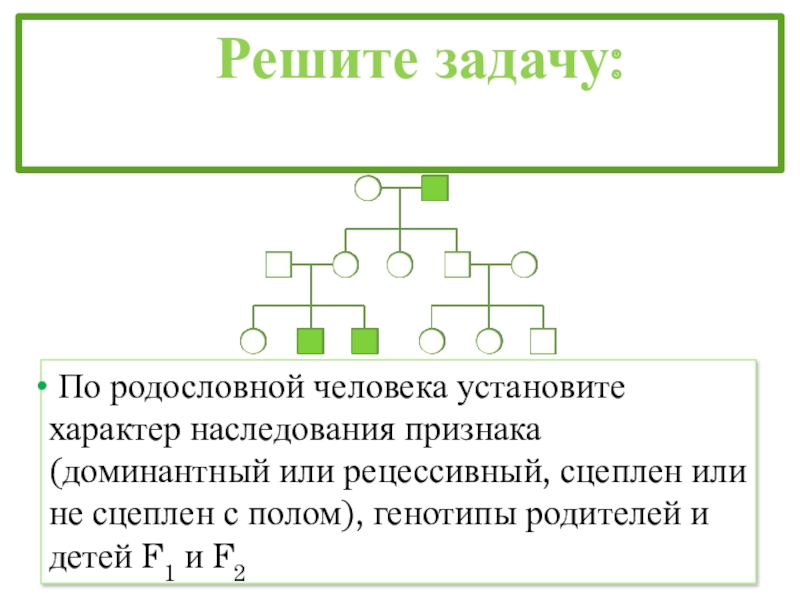 План по теме наследование