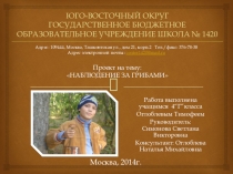 Презентация Наблюдение за грибами