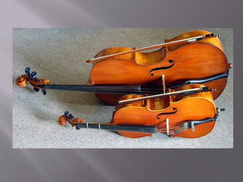Скрипка урок музыки 3 класс. Факты о виолончели. Виолончель слайд. Рассказать про виолончель. История создания скрипки и виолончели.