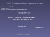 Презентация к лекции Микроскопическое исследование мочи