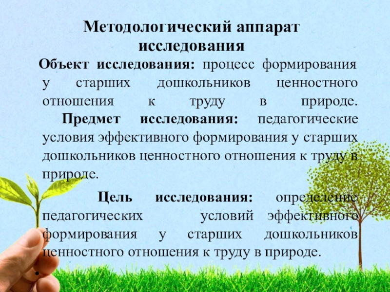 Формирование у детей дошкольного возраста ценностного отношения к родной природе проект