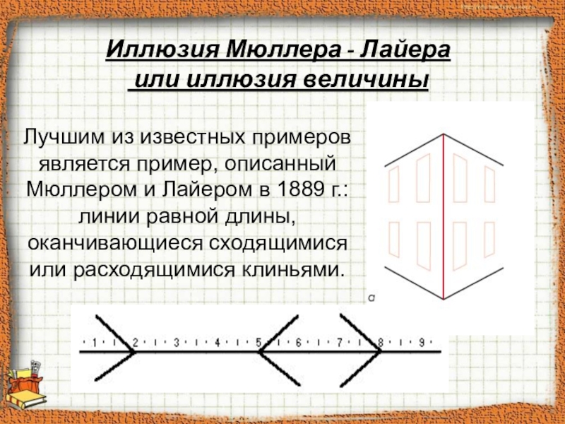 Линии равной длины. Оптико-Геометрическая иллюзия Мюллера-Лайера. Геометрические иллюзии Мюллера Лайера. Оптические иллюзии Лайера. Опыт иллюзия Мюллера-Лайера.