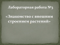 Презентация по биологии ЛР Знакомство с внешним видом растений (5 класс)