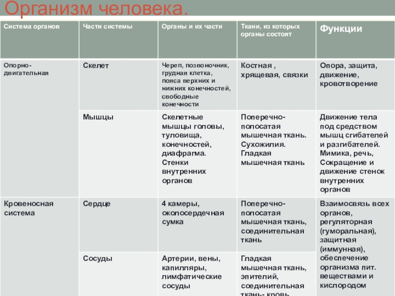 Презентация на тему внимание по биологии 8 класс