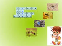 Презентация по окружающему миру на тему Рыбы (1 класс)