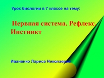 Презентация Эволюция нервной системы