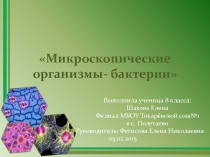 Презентация по биологии Микромир- друзья и враги