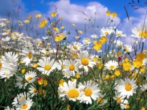 Презентация В мире русской песни