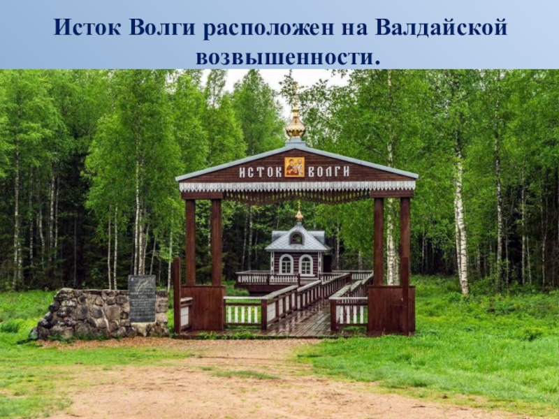 Исток Волги расположен на Валдайской возвышенности.