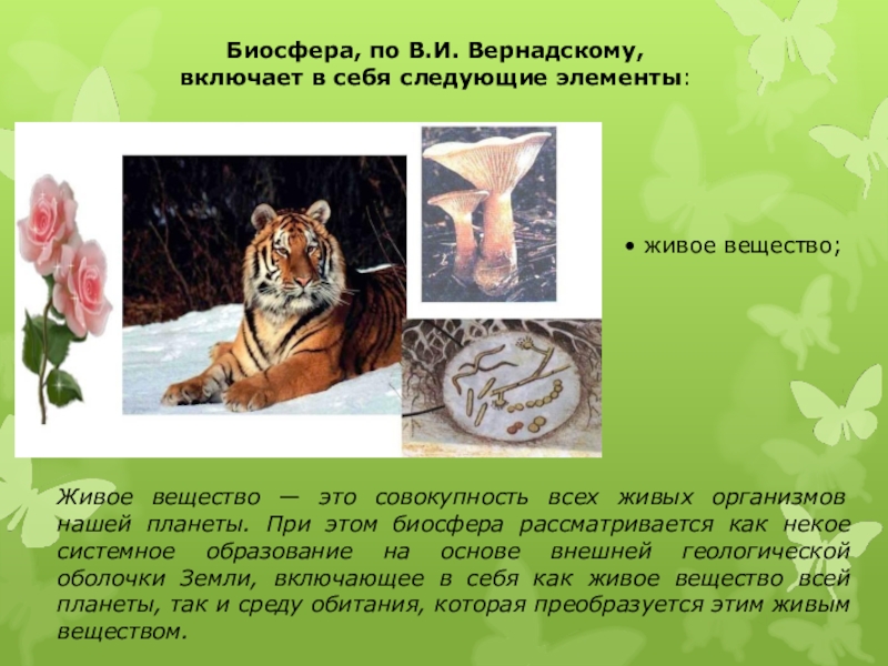 Живое вещество планеты это совокупность всех. Живое вещество биосферы это совокупность всех. Совокупность всех живых организмов биосферы. Живое вещество биосферы по в.и Вернадскому. Живое вещество биосферы планеты - это совокупность всех растений и....