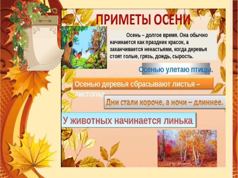 Периоды осени. Календарь природы осень. Приметы осени для детского сада. Осенние месяцы приметы. Народный календарь осень.