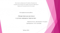 Презентация Лекарственные растения в устном народном творчестве