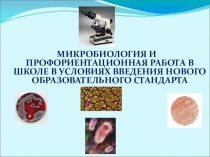 Презентация по теме:Микробиология и вирусология