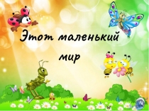 Презентация по развитию речи Этот маленький мир. Насекомые