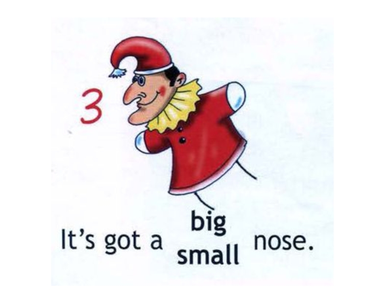 He s got nose