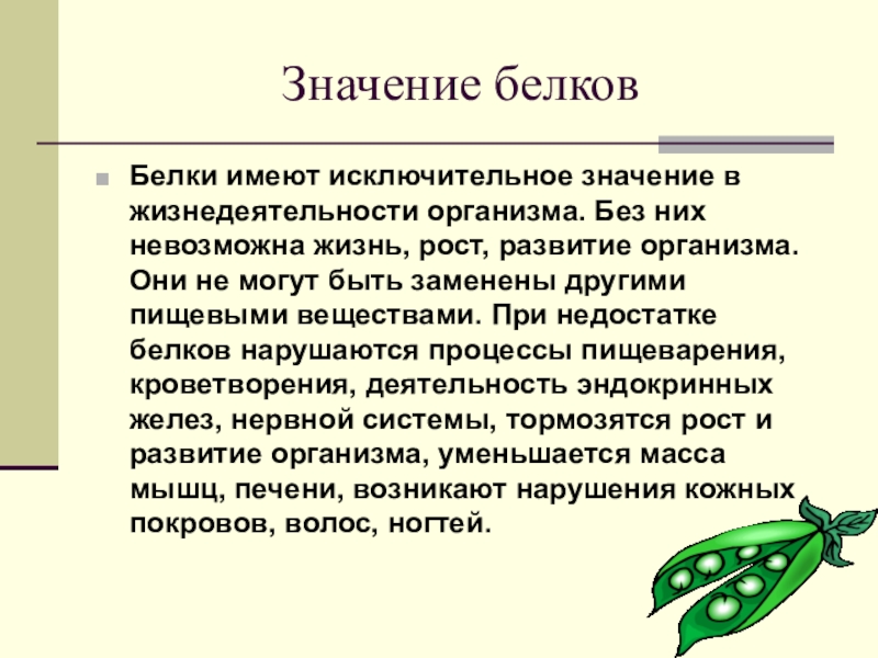 В чем заключается питание для жизнедеятельности организмов. Значение белков. Значение белков для организма. Роль белков в жизнедеятельности человека. Роль белков в питании.