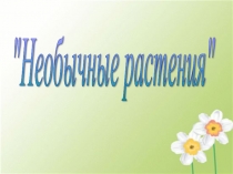 Презентация для дошкольников Необыкновенные растения