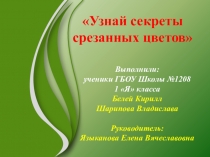 Исследовательский проект Узнай секреты срезанных цветов
