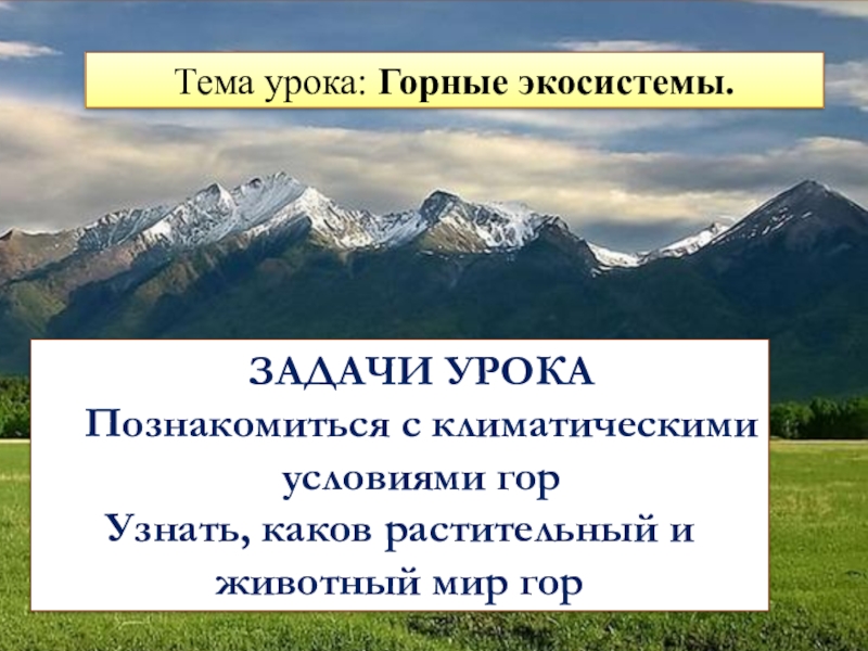 Условия гор. Горные экосистемы презентация. Высокогорная экосистема. Горные экосистемы кратко. Горные экосистемы 2 класс доклад.