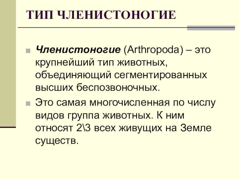 Общая характеристика членистоногих. Членистоногие характеристика кратко.