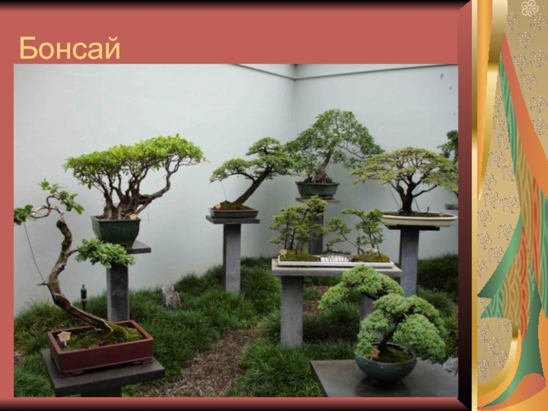 БонсайБонса́й («выращенное в подносе») — искусство выращивания точной копии настоящего дерева в миниатюре. Слово «бонсай» происходит от китайского