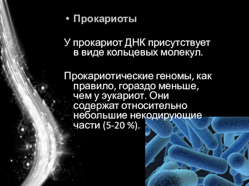 Современные представления о гене и геноме презентация 10 класс сивоглазов