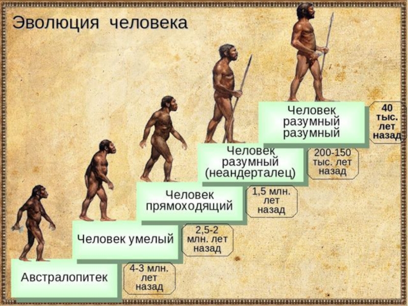 Эволюция 7 класс презентация