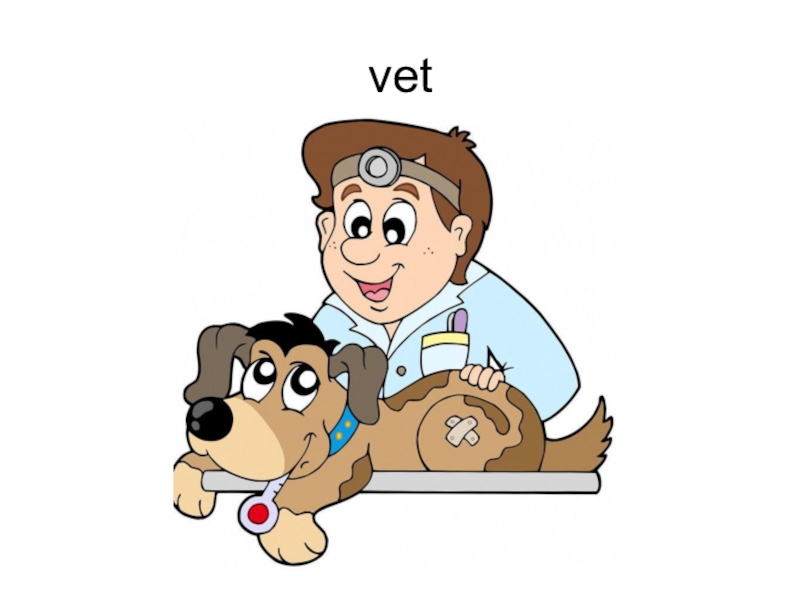 Vet картинка для детей