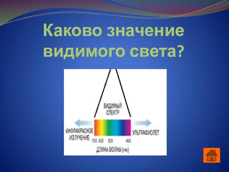 Действие видимых лучей. Видимый свет. Видимое излучение. Видимый спектр света. Значение видимого света.