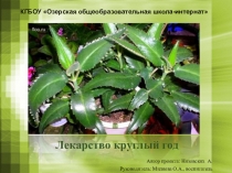 Лекарство круглый год (6б класс вспомогательный)