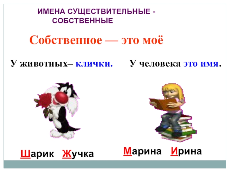 Собственное существительное это. Имена собственные. Написание собственных имен существительных. Клички животных это имена собственные. Собственные имена существительные клички животных.