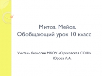 Презентация по биологии на тему Митоз (9 класс)