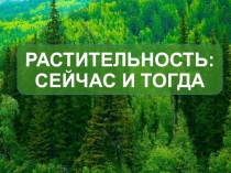 Презентация по истории растительности Хакасии