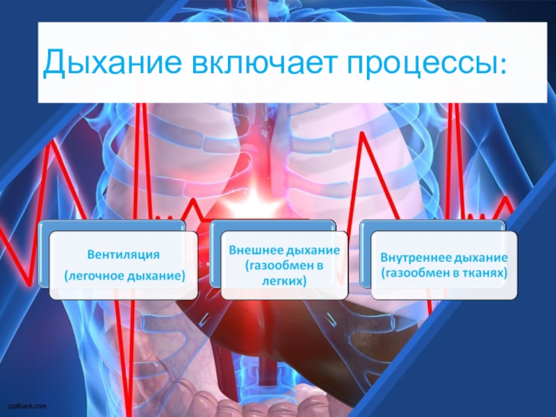 Включи дыхательную. Процесс дыхания включает. Антистрессовое дыхание. Внутреннее дыхание включает следующие процессы. Антистрессовое дыхание 4-4-6.