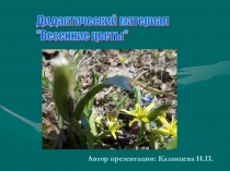 Дидактическое пособие Весенние цветы