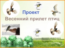Презентация по технологии на темуЖизнь птиц весной (6 класс)