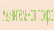 Презентация по внеурочной деятельности на тему Удивительная природа